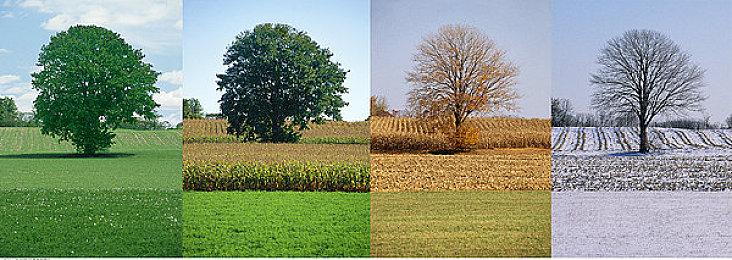 《堕落之主》已开发4年 有三种不同的结局